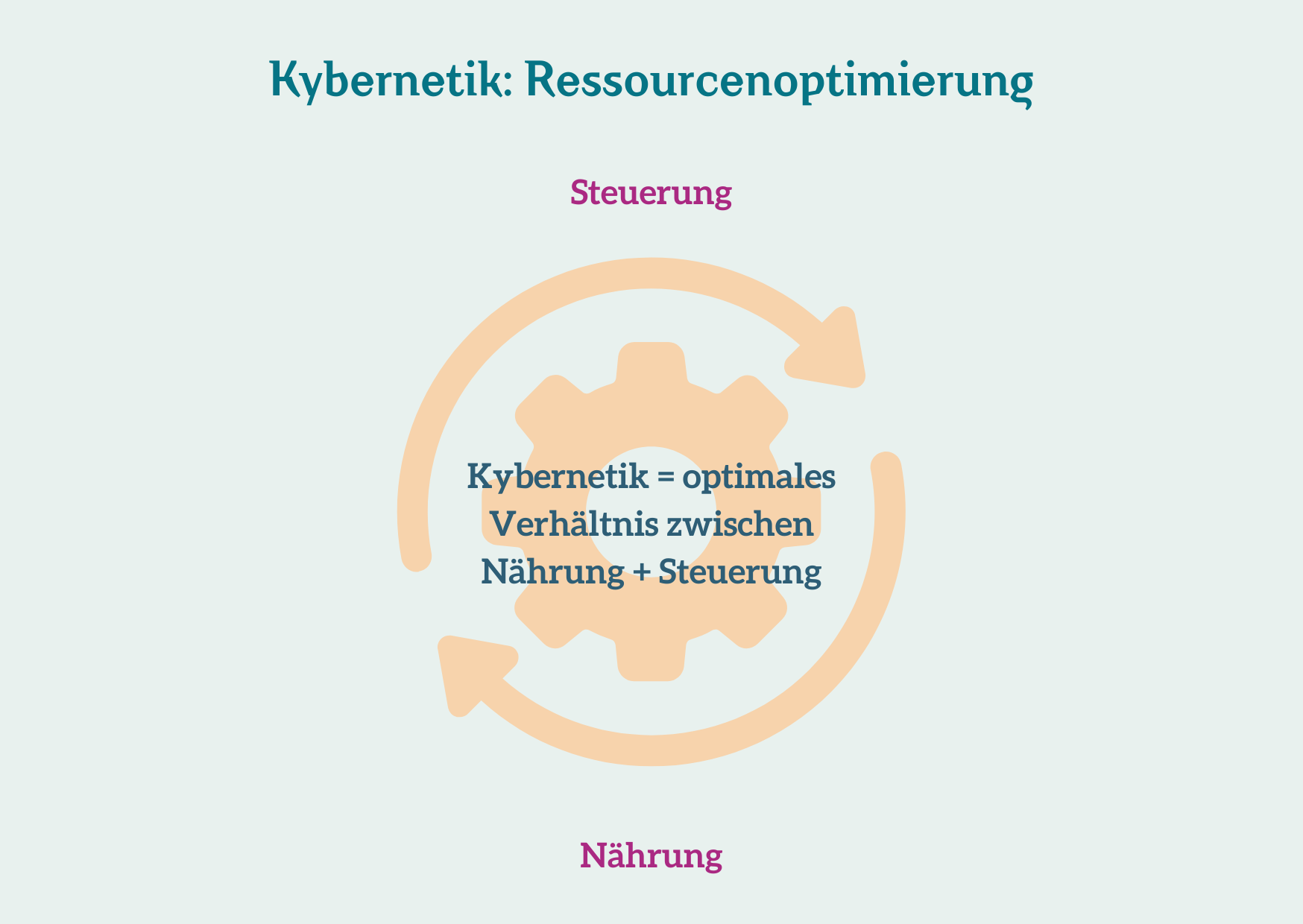 Kybernetik - Ressourcenoptimierung