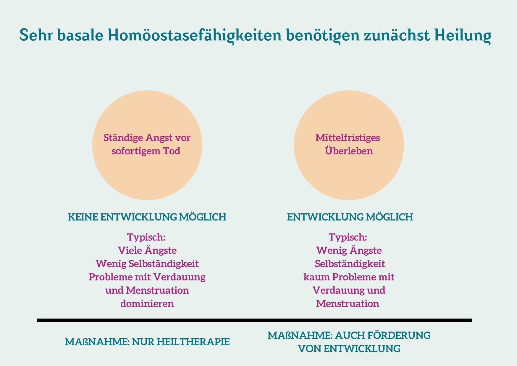 Basale Homöostase und Heilung