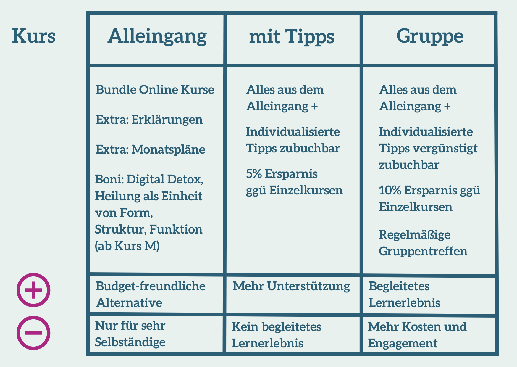 Begleitungsmodelle Vergleich