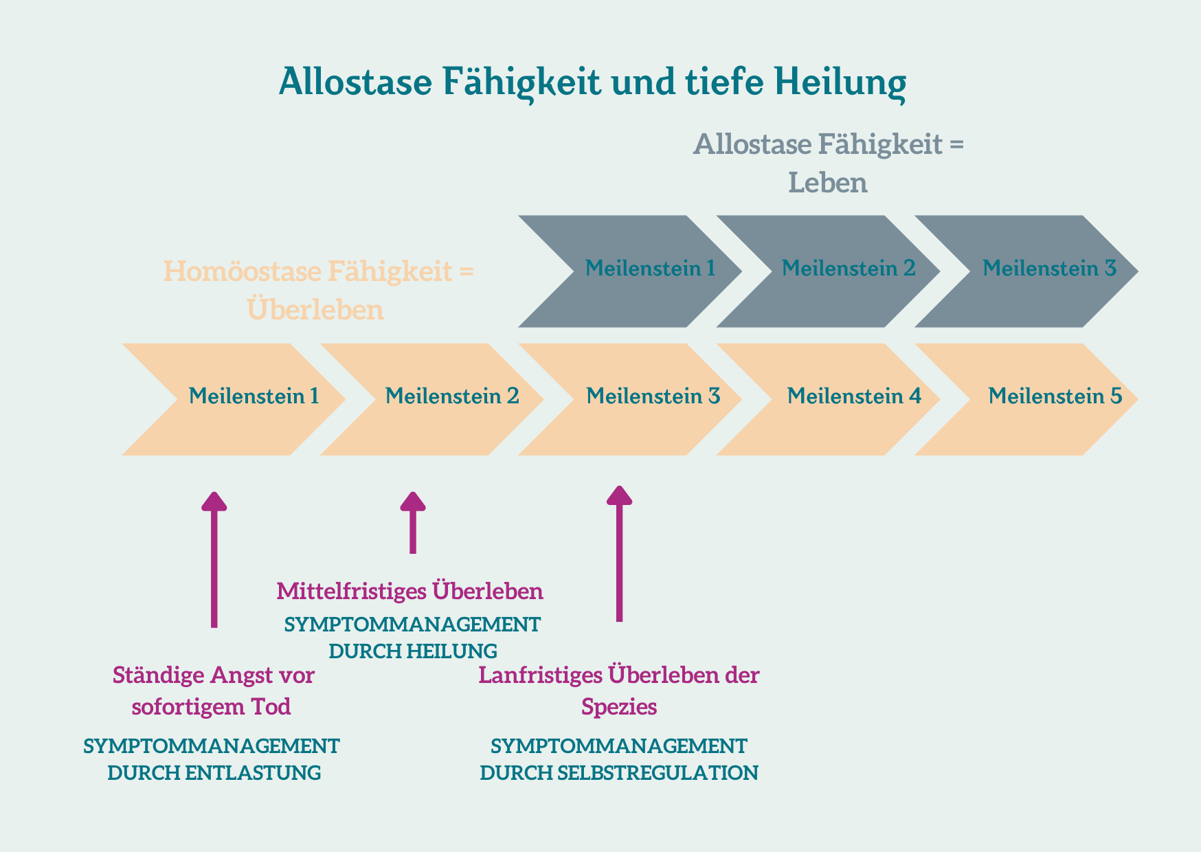 Tiefe Heilung Allostase